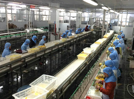  食（shí）品加工廢氣處（chù）理