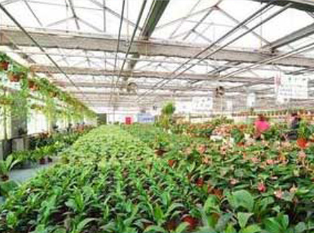 花（huā）卉溫室通風應用
